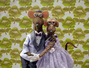 Rats01