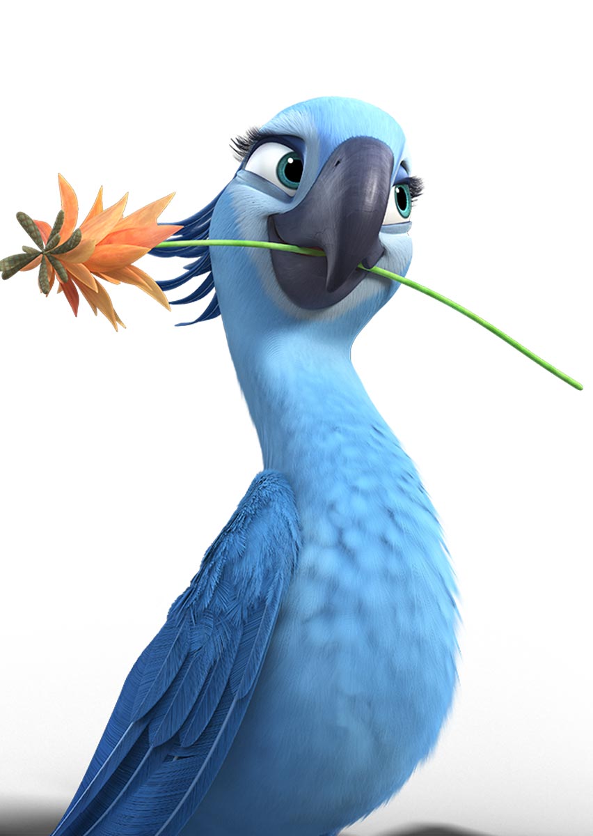 image-rio-2-character-jewel-rio2-character-wallpaper1-jpg-animal