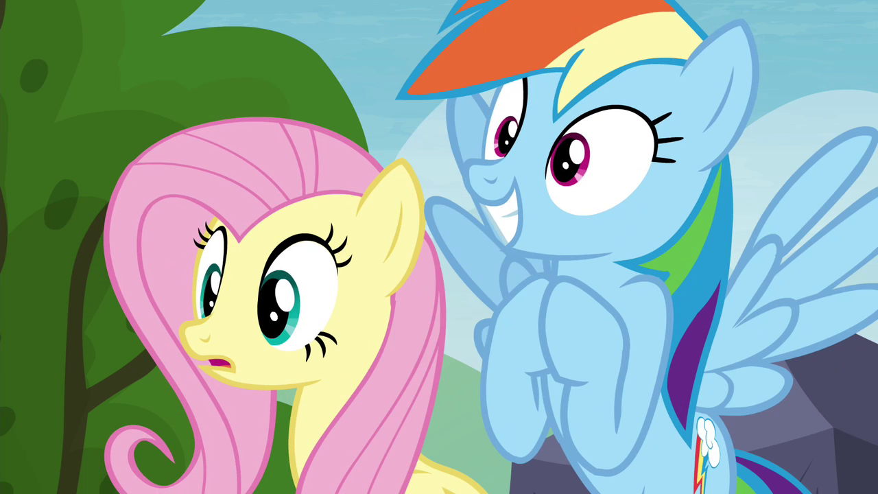 my little pony rainbow dash x fluttershy