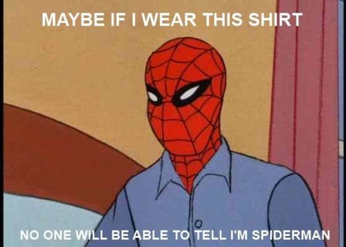 Spiderman-meme.jpg