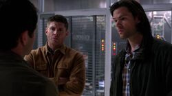 SPN 0241