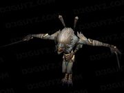 LACUNI WARRIOR