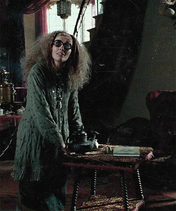Sybill Trelawney (1)