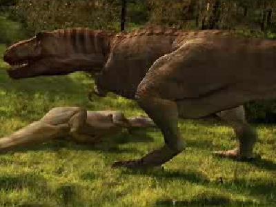 discovery channel tyrannosaurus rex