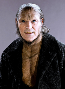 http://img4.wikia.nocookie.net/__cb20140623214243/harrypotter/ru/images/thumb/b/b2/Fenrir_Greyback.png/250px-Fenrir_Greyback.png