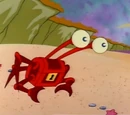Treasure Chest Crab