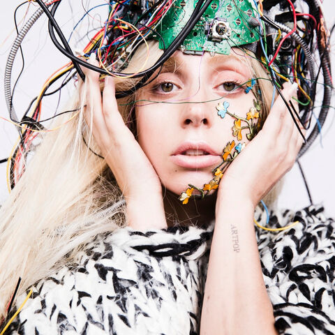 480px-7-2-13_Inez_and_Vinoodh_026.jpg