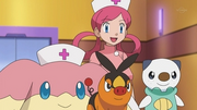 Audino Tepig Oshawott