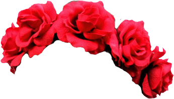 flower crown: NEW 370 RED FLOWER CROWN PNG