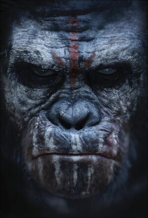 300px-Dawn-of-the-Planet-of-the-Apes-Koba-character-poster.jpg