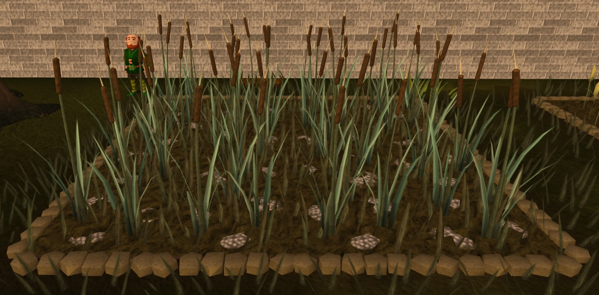 Reed seed The RuneScape Wiki
