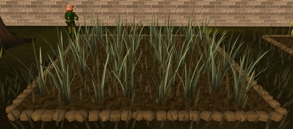 Reed seed The RuneScape Wiki