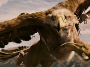 Gryphons