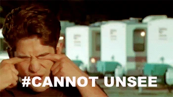 Cannot-unsee.gif