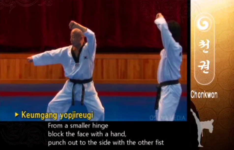 Diamond Side Punch Taekwondo Wiki
