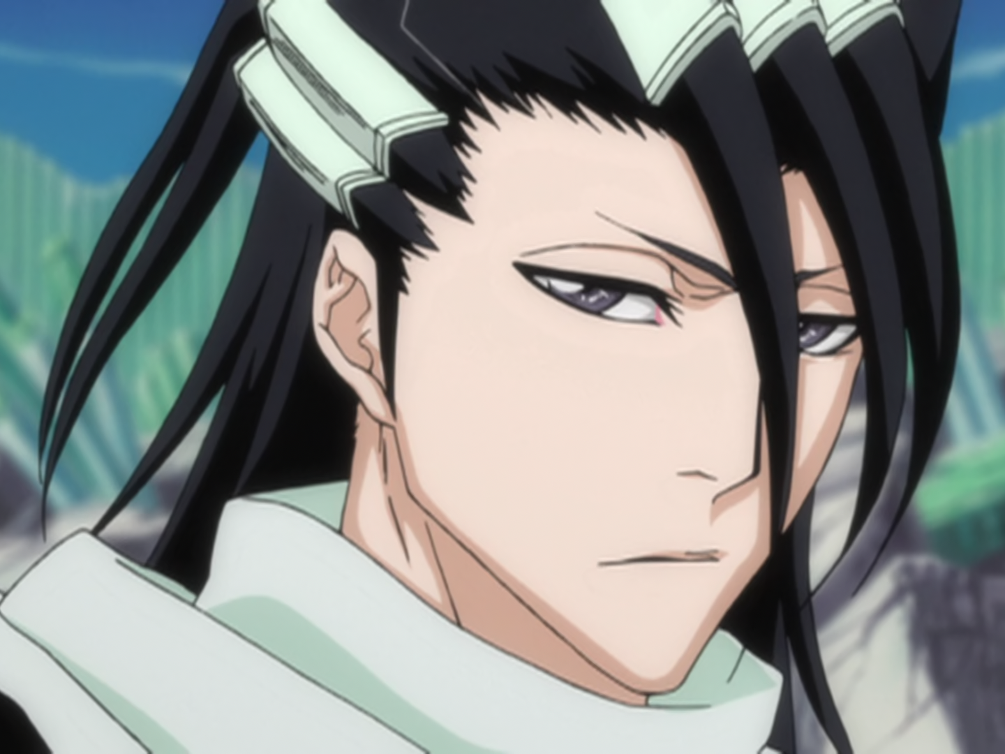 http://img4.wikia.nocookie.net/__cb20140813230913/bleach/en/images/f/fe/Ep198ByakuyaKuchiki.png