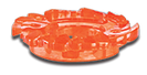 BeybladeLegendsBurnFireblaze135MSEnergyRing.png (19 KB) BeybladeLegendsBurnFireblaze135MSEnergyRing