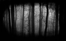 Evil forest