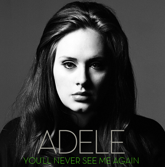 متن و ترجمه شعر آهنگ You'll Never See Mee Again از Adele