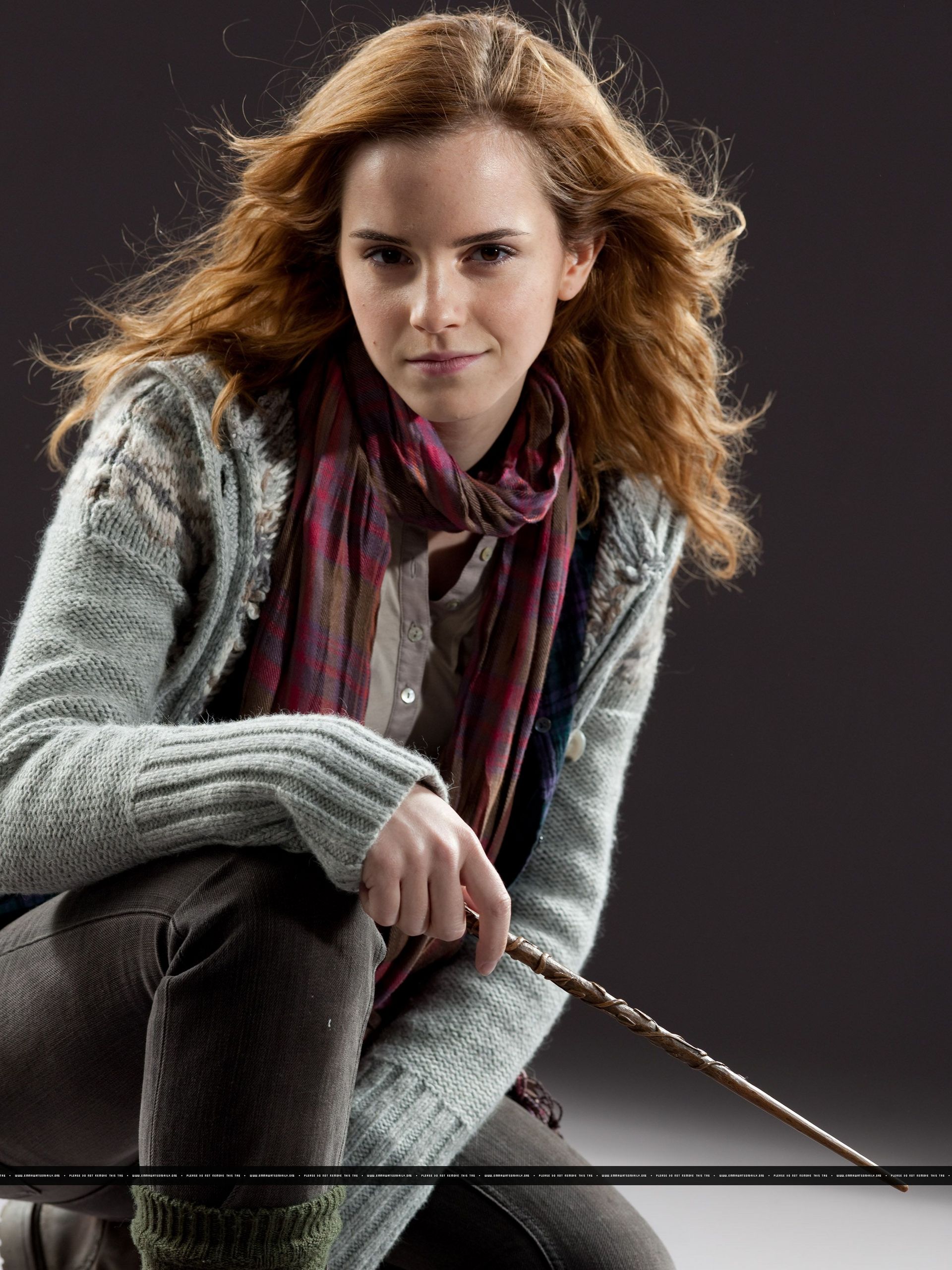Hermione Granger Harry Potter 0353
