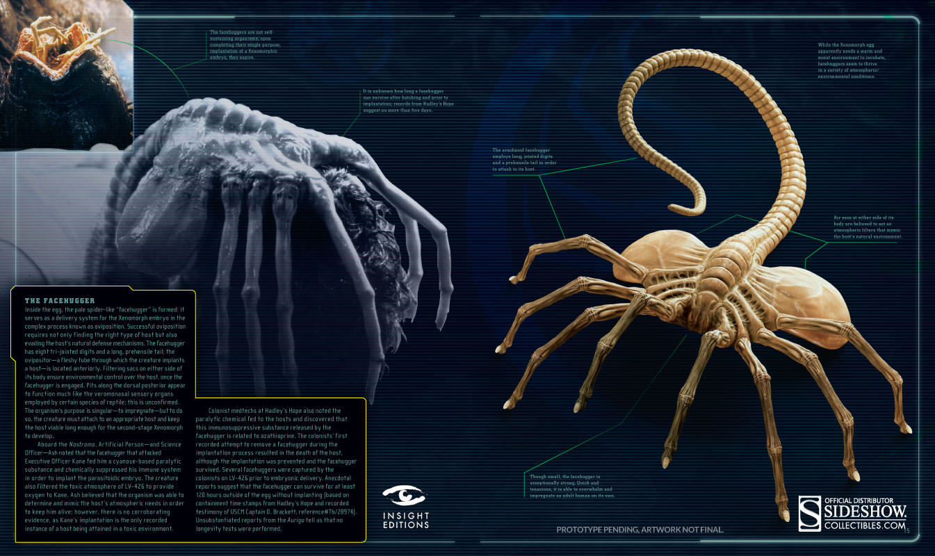 Face Hugger WeylandYutani corporation Wiki
