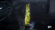 640px-Teen Wolf Season 4 Episode 10 monstrous Yellow Wolfsbane.png