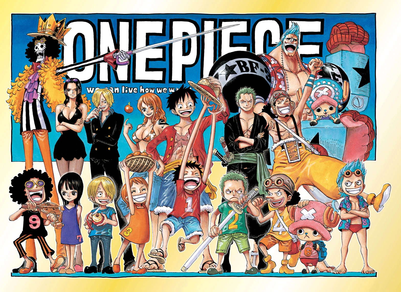 Nombre De Chapitre One Piece