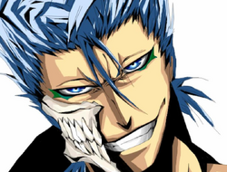 grimmjow resin