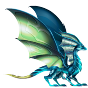 Nocturnal Dragon 3