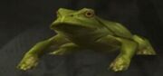 Treefrog