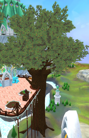 Yew tree (Prifddinas)