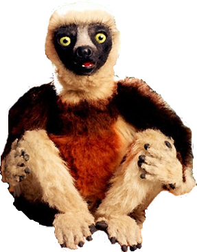 Image - Zoboomafoo.png - The Zoboomafoo Wiki - Wikia