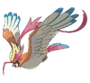 Mega-Pidgeot