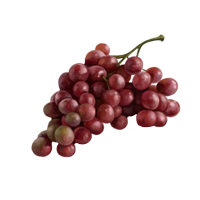 Bunch-of-grapes-lrg