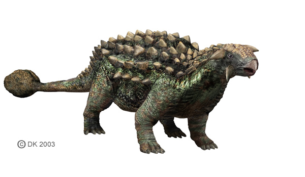 ankylosaurus type dinosaurs