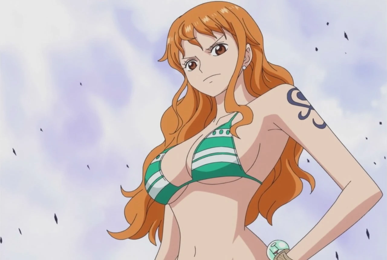 One Piece Nami Nach 2 Jahren