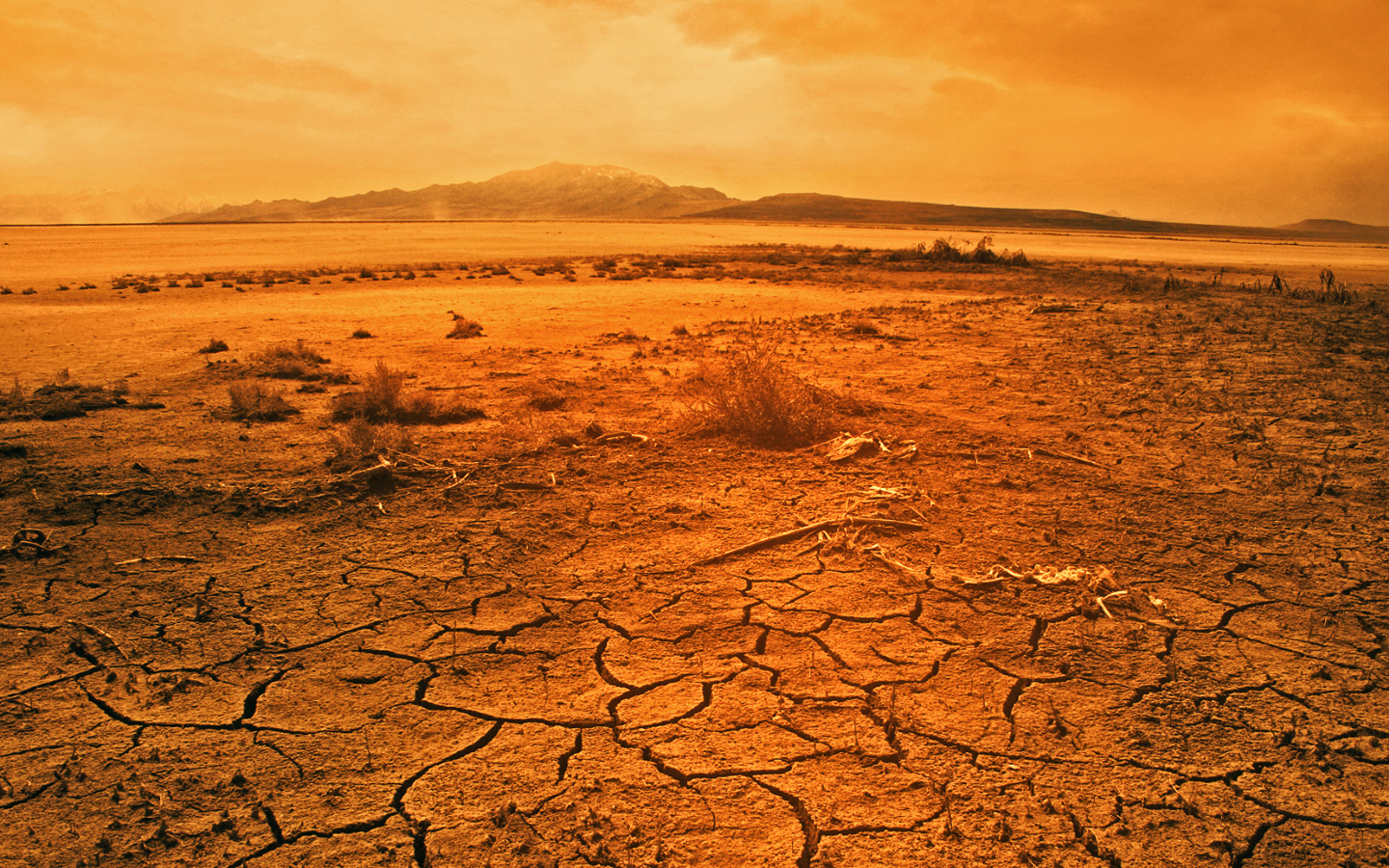Dry-desert-wasteland.jpg