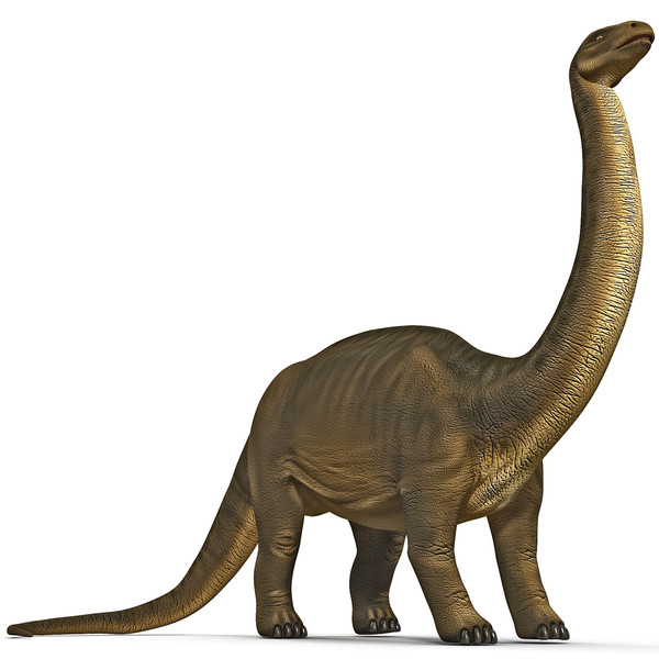 BrontosaurusRigged_8_jpg5fb90b21-63d3-406b-8f74-12ebe7cc8220Large.jpg
