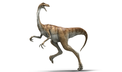 Gallimimus