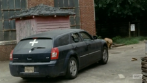 Dodgemagnum
