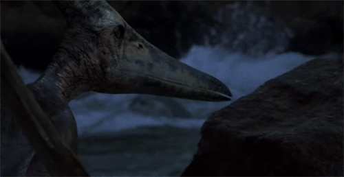 Jurassic-Park-3-stare.gif