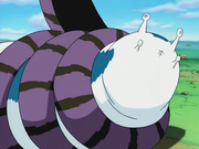 Manda coils
