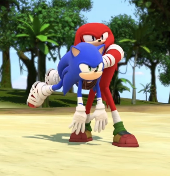 Coconut hurl Sonic News Network, the Sonic Wiki