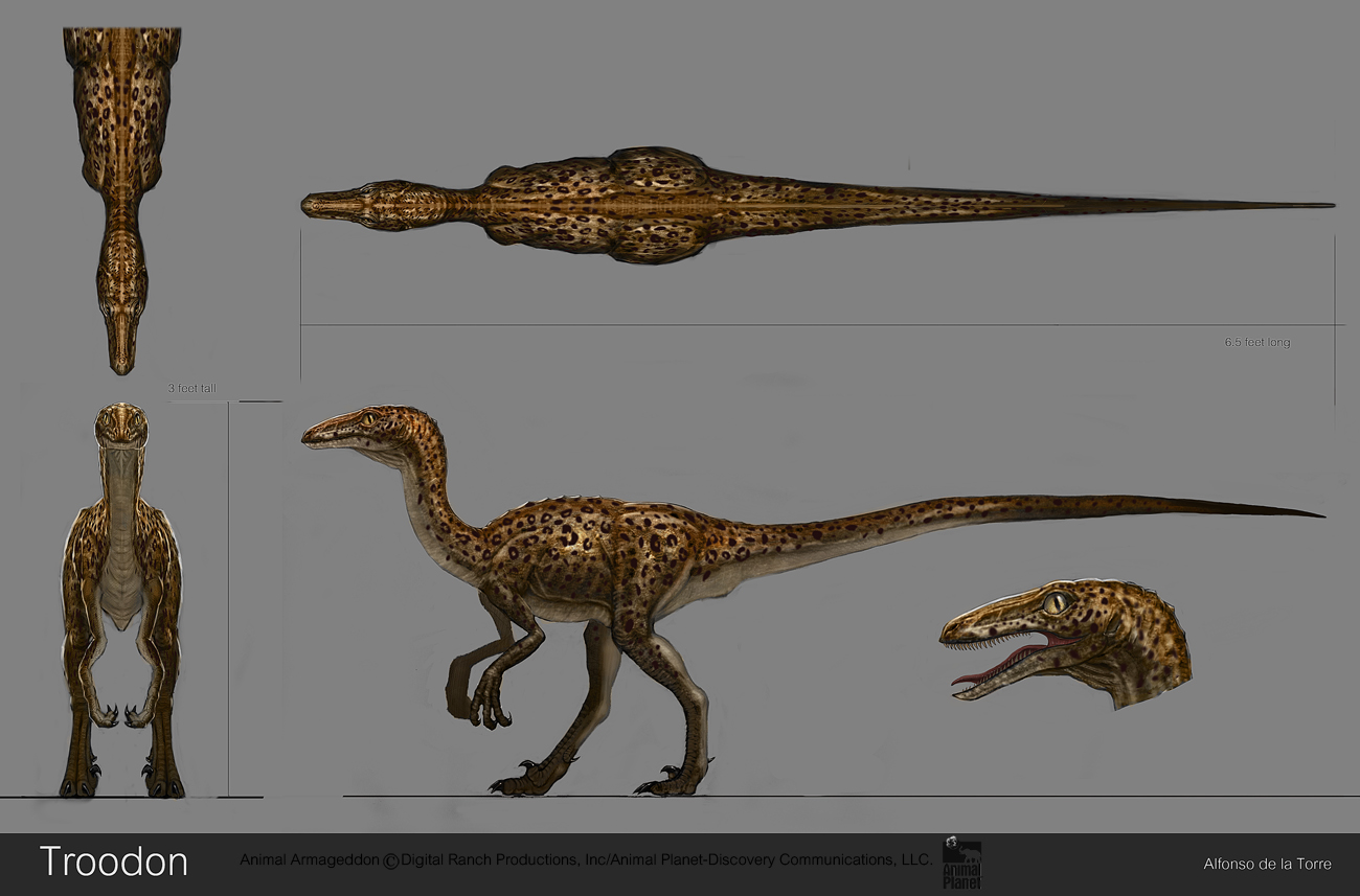 Troodon.jpg
