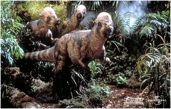 Image Pachycephalosaurus Group Jurassic Park Wiki Wikia 4955