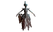 AnimaAspect