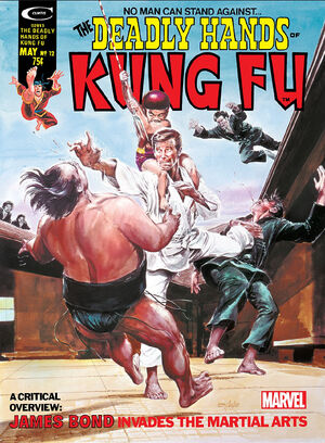 Deadly Hands of Kung Fu Vol 1 12