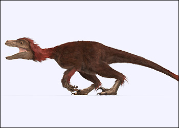 Pyroraptor - Dinopedia - the free dinosaur encyclopedia