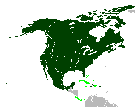 North American Union (FW) - Constructed worlds