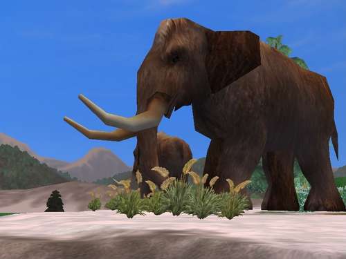Woolly Mammoth - The Zoo Tycoon Wiki - Zoo Tycoon, Zoo Tycoon 2, cheats ...